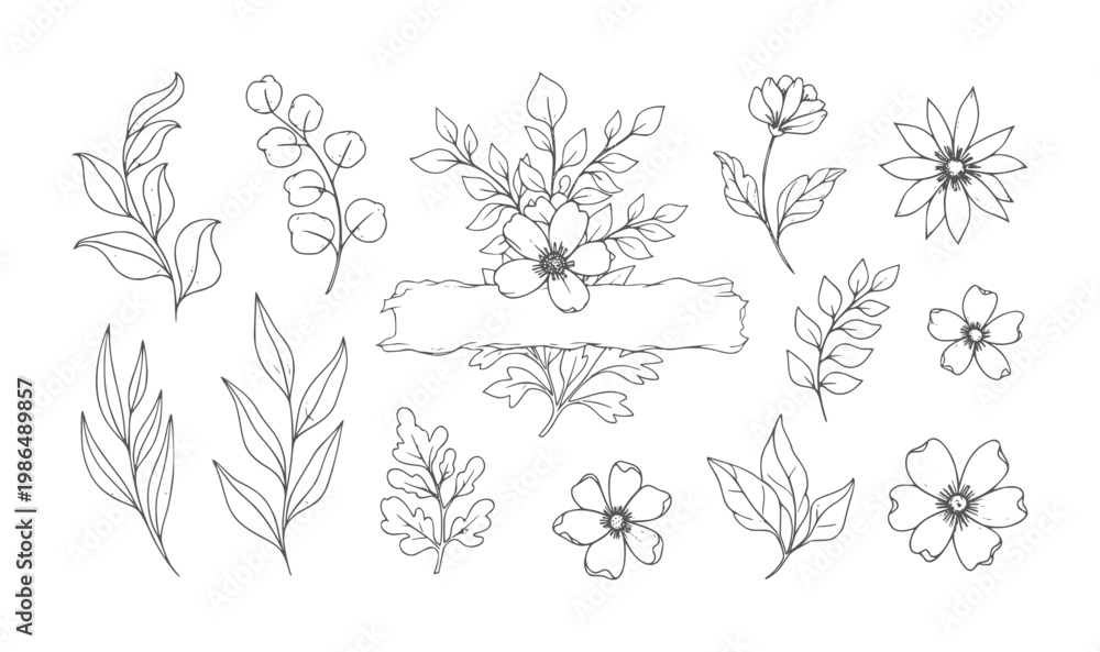 Fototapeta premium Hand drawn floral and leaves with banner botanical outline nature