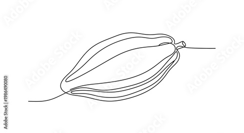 Minimalist single line drawing of a papaya fruit