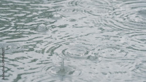 Close-up of raindrops splashing into a puddle during a rainy suburban storm. Captures the peaceful and dramatic moment of rainfall in high detail