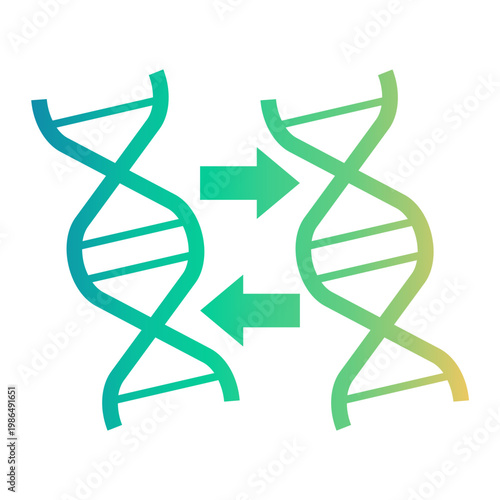 duplicate Line Gradient Icon