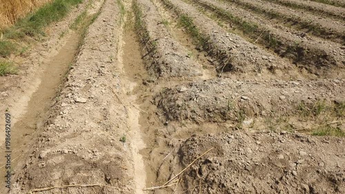 Tilled Earth Rows Ready for Planting Agriculture Video