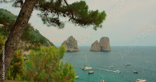 Pine tree framing famous Faraglioni sea stacks and boats on water in Capri in Italy