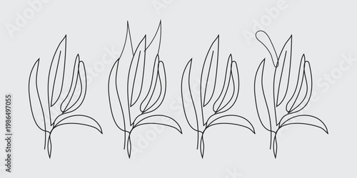 black and white silhouettes of plants