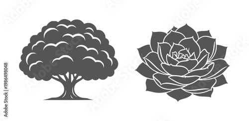 Dark gray silhouette of a leafy tree next to a succulent plant