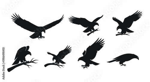 Awe-Inspiring Collection of Majestic Eagle Silhouettes Capturing Flight, Graceful Perching, and Dynamic Action Poses in a Striking Monochromatic Style