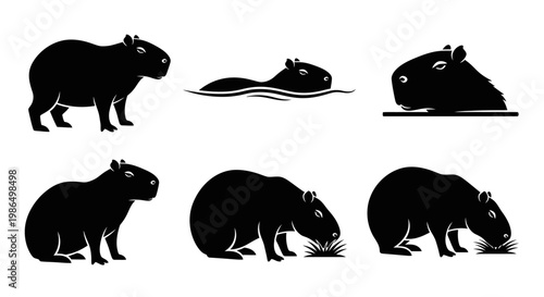 Collection of six black silhouette illustrations of a capybara in various poses including swimming and eating