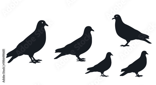 Group of Silhouettes of Pigeons Standing Together in a Coordinated Pose, Illustrating Unity and Community