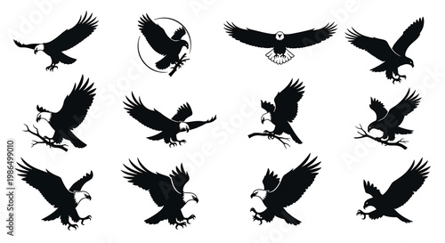 Collection of majestic eagle silhouettes in various dynamic poses capturing their power and freedom