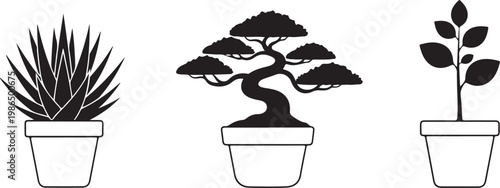 Three tipped plant pots with different foliage during daytime Isolated on white background