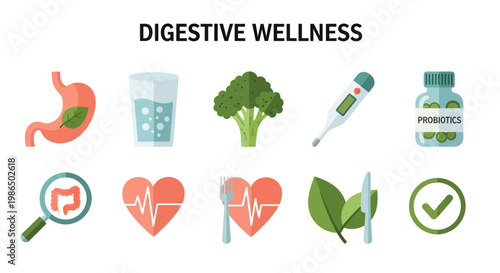 Digestive Wellness Healthy Lifestyle Concept.