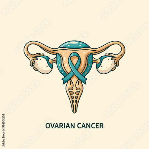 Medical illustration of human female reproductive organs including the uterus and ovaries with a teal ribbon awareness symbol for ovarian cancer education and healthcare support.