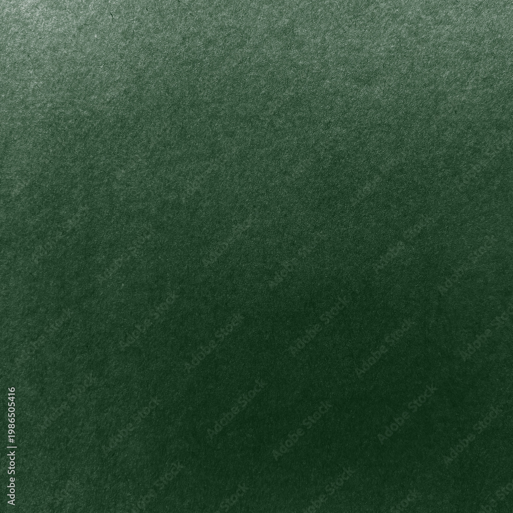 Fototapeta premium Textured dark green background with copy space