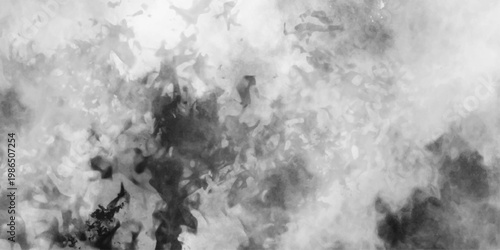 Abstract white and gray isolated cloud cumulus clouds. Gray aquarelle painted realistic fog or mist smoky textured canvas design. White and ash messy wall stucco texture background.	
