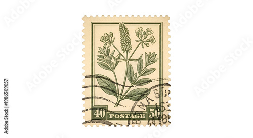 Botanical postage stamp featuring a detailed illustration of a flowering plant with foliage on vintage textured paper; collectible design