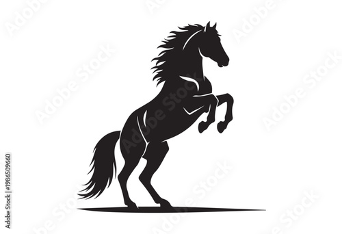 Jumping horse isolated on white background