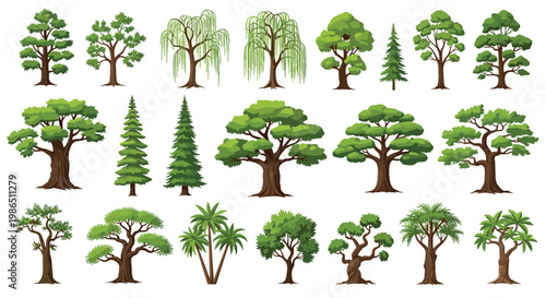 Diverse set of green tree illustrations including pine, willow, oak, and palm trees for nature, environment, and landscaping design.
