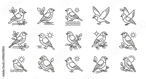 Vector illustration set of sports icons, people silhouettes and sword fighters with assorted animal, nature and symbol icons in a seamless pattern collection design