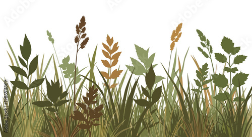 Green grass growing in a natural farm field isolated on a white background representing fresh agriculture and plant growth