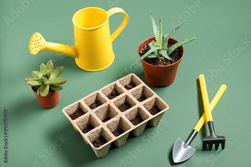 Seed tray with soil, potted...