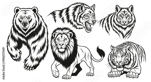 Black and white big cats and bear.