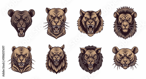 Collection of lion heads in various expressions.