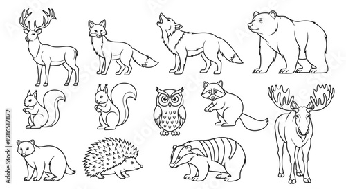 Various forest animals line drawings.