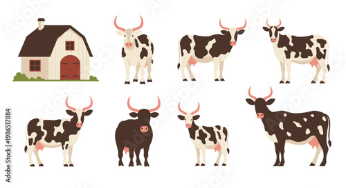 Brown and white cows standing still 5.