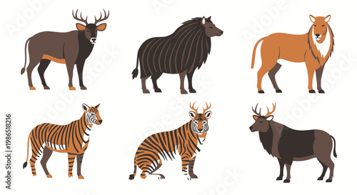 Group of exotic wild animals standing.