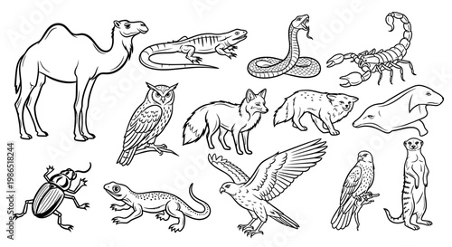 Various animals in a single frame.