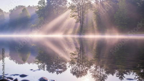 水面に映る森のイメージ