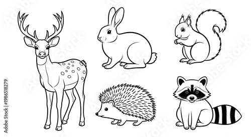 Collection of forest animal line drawings.