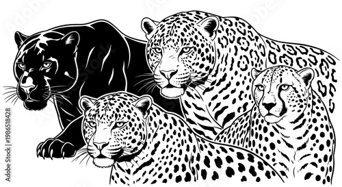 Black and white leopard family portrait.