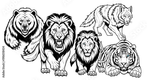 Black and white big cats animals.