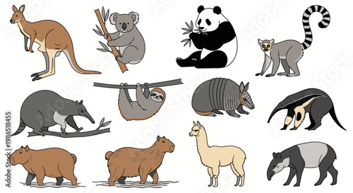 Variety of cute animal species together.