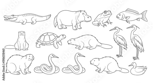 Variety of Animals Line Drawings 1.