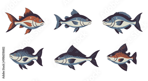 School of colorful fish swimming together.