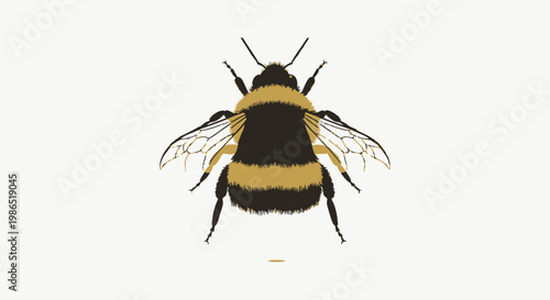 Closeup of a flying honey bee.