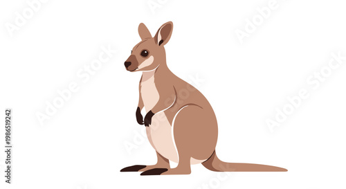 Simple flat illustration of a brown kangaroo standing upright against a clean white background for wildlife educational use.