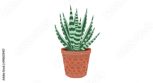 Healthy indoor snake plant with green and white striped leaves is planted in a terracotta pot with a geometric pattern.