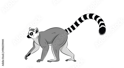 Unique wildlife illustration shows a ring-tailed lemur in a walking pose highlighting its long black and white striped tail.