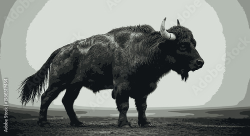 Large dark yak standing profile.