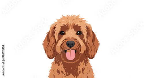 Portrait of a cute brown curly-haired dog resembling a goldendoodle or labradoodle with its tongue out and friendly eyes.