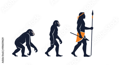 Evolutionary timeline of man showing the transition from an ape to a hunter-gatherer holding a spear, depicted as silhouettes on white.