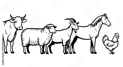 Farm animals standing in line.