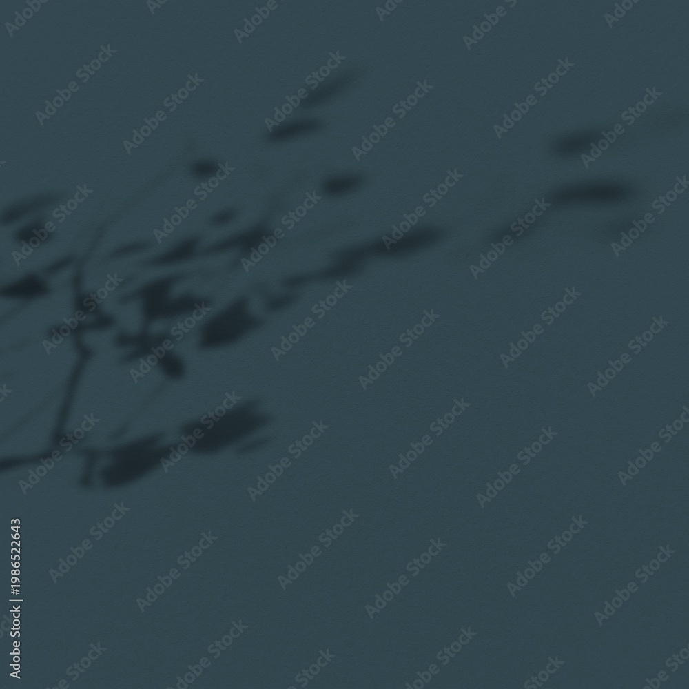 Fototapeta premium Dark shadowy leaves on wall background