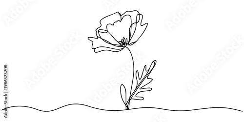 poppy flower continuous one line drawing, A beautiful minimalist one line drawing of two flowers growing in a field on a white background, poppy flower continuous one line drawing, A beautiful minimal