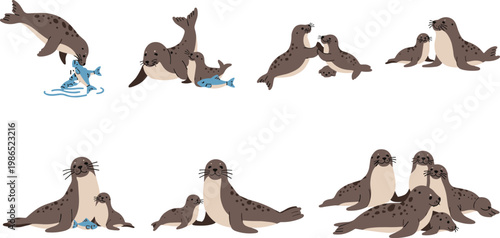 Seal Family Cartoon Set with Marine Animals Playing Hunting Fish and Caring for Babies Ocean Wildlife Illustration Collection