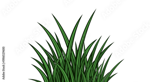 Green grass blades close up view.