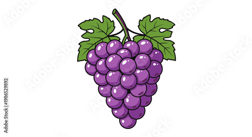 Purple grapes bunch with green leaves.