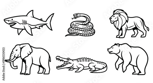 Wild animals in various species group.